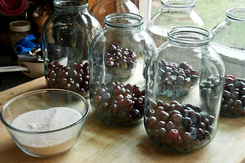 Компот из ягод на зиму: 7 простых рецептов приготовления консервации