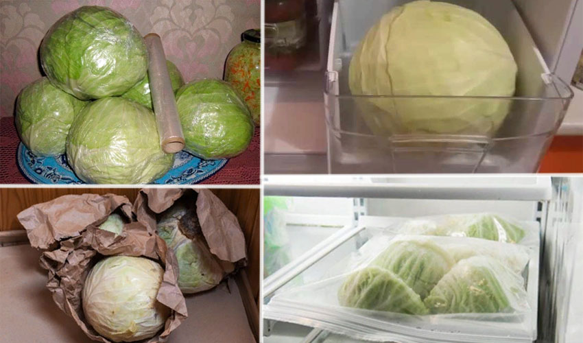 Рецепт как заморозить белокочанную капусту | меню недели