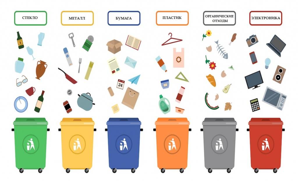 Раздельный сбор мусора — сортировка отходов