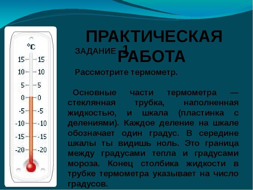 Выходная температура. Части термометра 2 класс окружающий мир. Части градусника. Как называются части термометра. Термометр и его части.