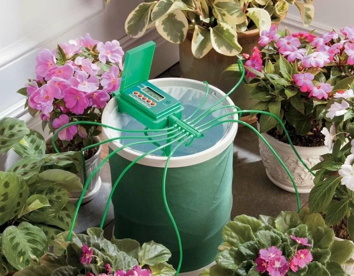 Делаем автополив комнатных растений своими руками: система автоматического полива цветов, рассады, саженцев в квартире и дома