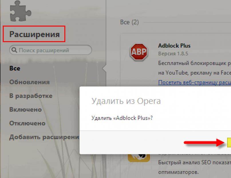 Как удалить расширение браузера. Опера удалить расширения. Расширения которые убирают рекламу. В браузере вылазит реклама как убрать вирус. Ютуб в всплывающем окне расширение опера.