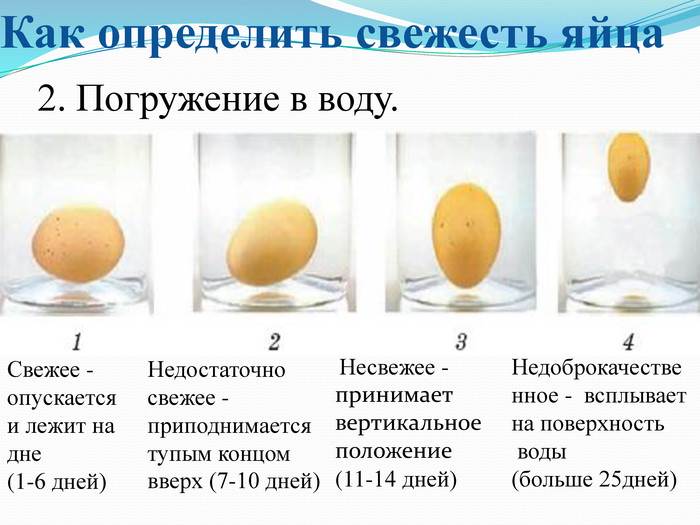 Как определить свежесть яиц: 4 простых способа