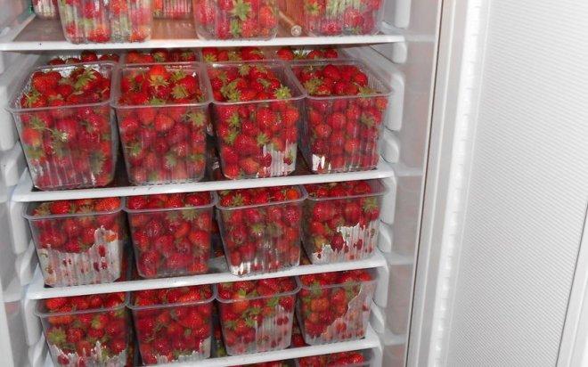 Как хранить свежую клубнику в холодильнике — 5 правил долгого хранения