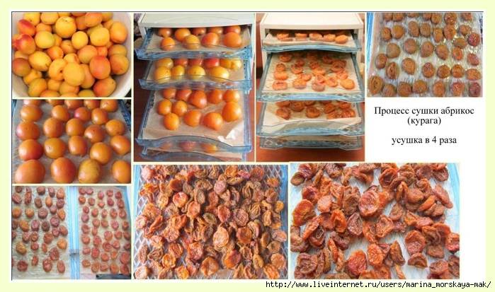 Как называются виды сушеных абрикосов