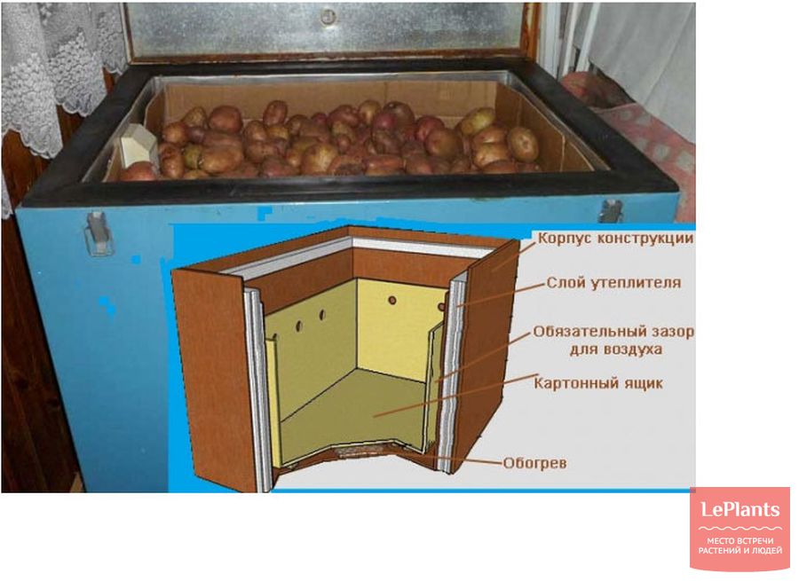 Все возможные способы как сохранить картофель без погреба