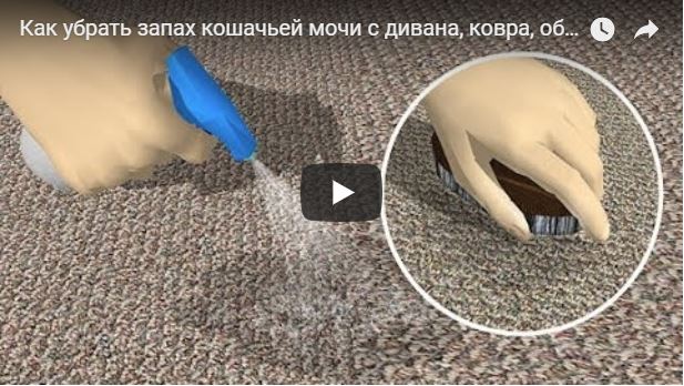 Как убрать неприятный запах с ковра: советы по устранению от avalon-carpet.ru