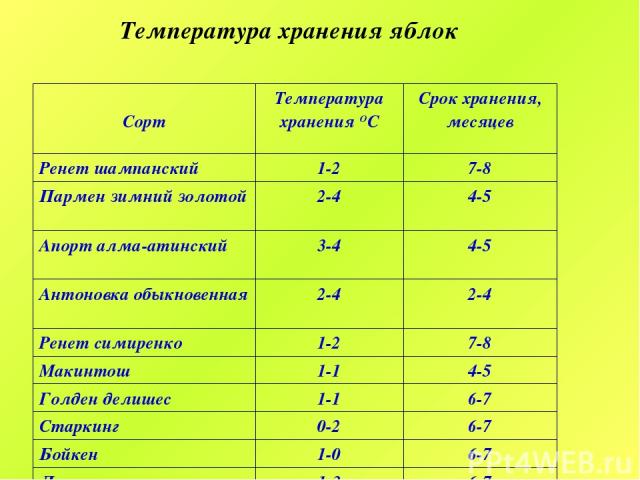 При какой температуре можно хранить шампунь для волос