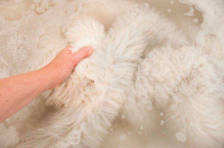 Как стирать овчину в домашних условиях: описание