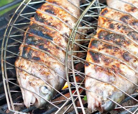 Шашлык из рыбы: как мариновать и приготовить сазана на мангале?