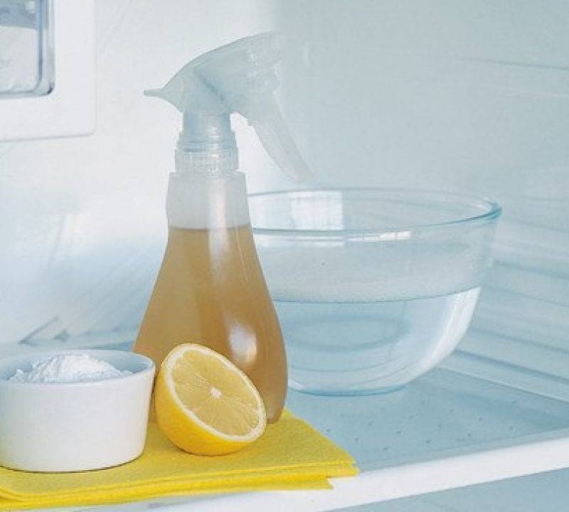 Как и чем мыть холодильник – 10 супер способов
