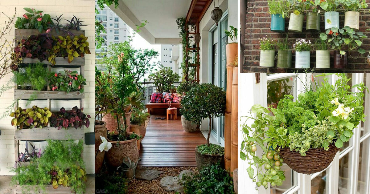 Оформление балкона цветами: как разместить растения на лоджии