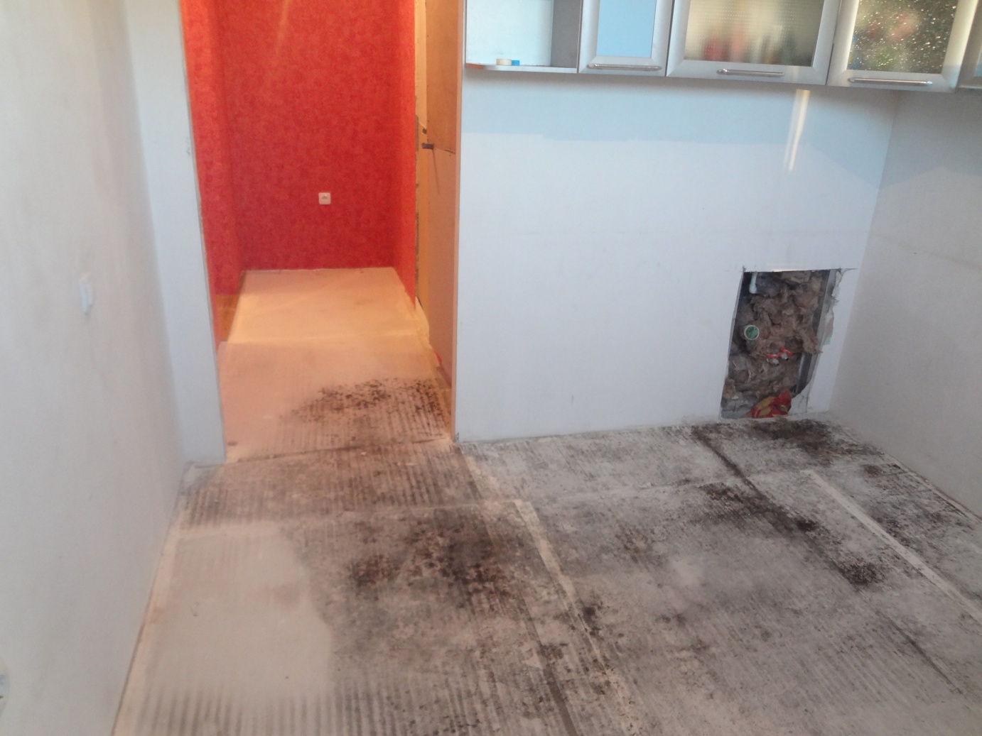 Плесень на бетонном полу под линолеумом: что делать, как убрать, чем обработать