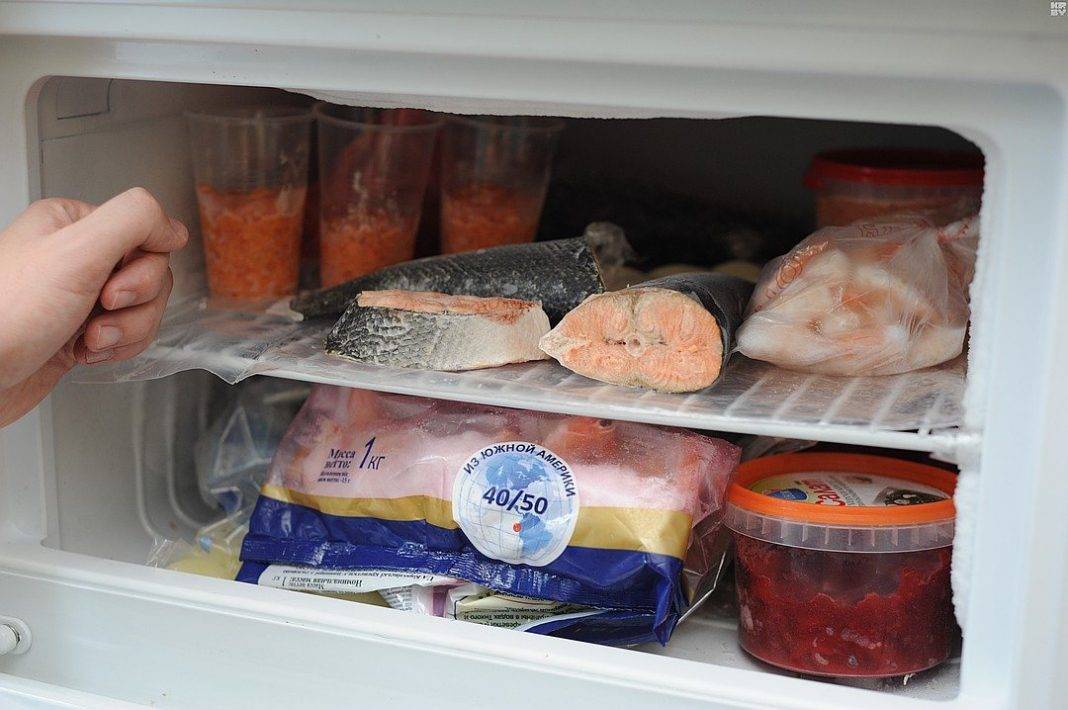 Можно ли заморозить соленую красную рыбу и каковы условия её хранения | моя кухня
