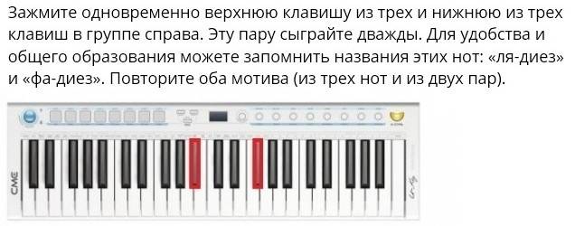 Как играть на пианино собачий вальс? проще простого! :: syl.ru