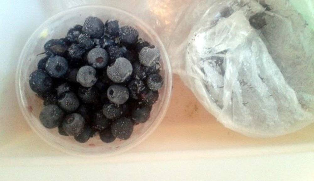 Замороженная черника: польза ягоды, подготовка к заморозке, четыре способа заморозить чернику на зиму, хранение и использование мороженных ягод