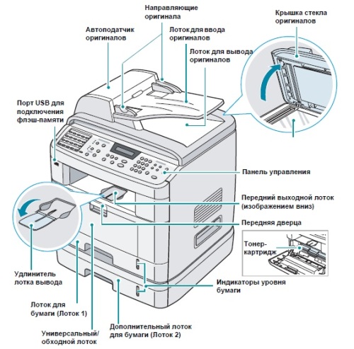 Как прочистить печатающую головку принтера epson, canon, hp: промывка жидкостями вручную и программами