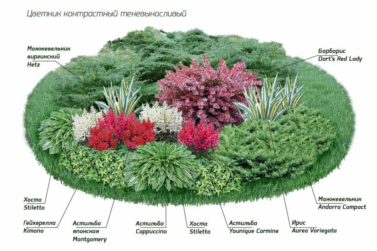 Розарий на даче: красивый ландшафтный дизайн, варианты размещения в саду участка, схемы посадки на клумбе
 - 27 фото