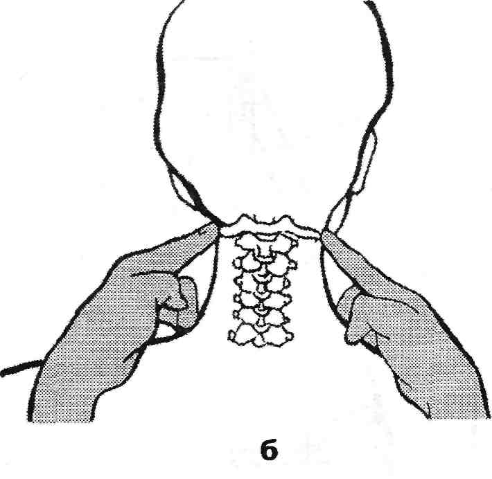 Ставится на место. Шейный позвонок Атлант вправление. Поперечный отросток Атланта пальпация. Позвонок Атлант вправление. Позвоночник Атлант вправление.