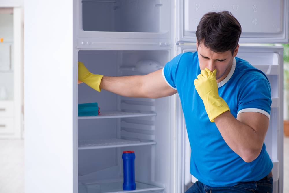 Чем помыть холодильник внутри после разморозки – лайфхаки для дома: советы по ремонту, стирке и уборке