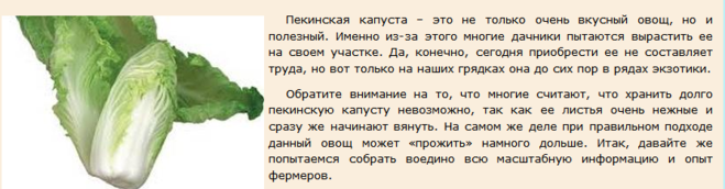 Пекинская капуста при грудном вскармливании