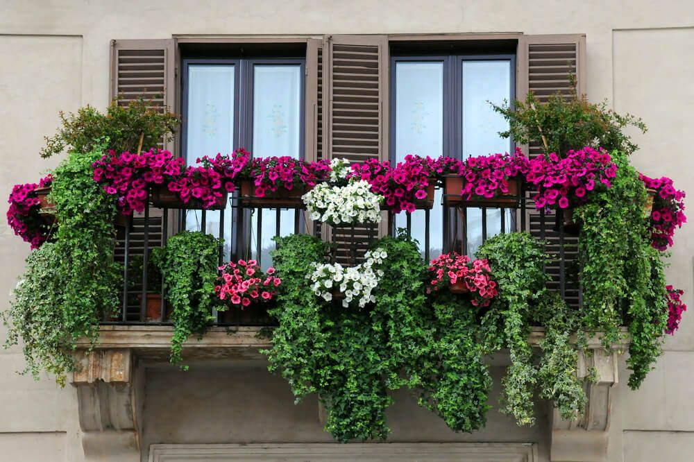 Идеи для озеленения балкона, какие цветы посадить и правила оформления