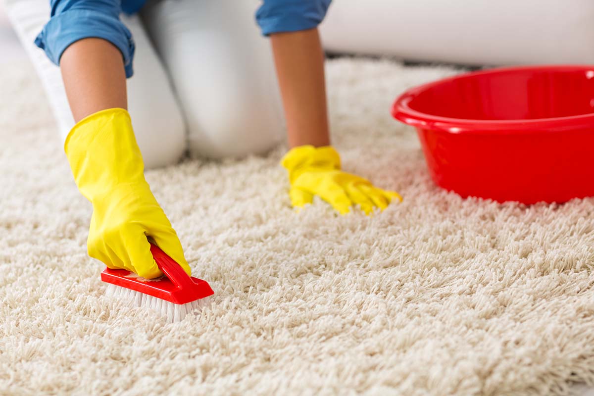 Как быстро и эффективно почистить палас в домашних условиях