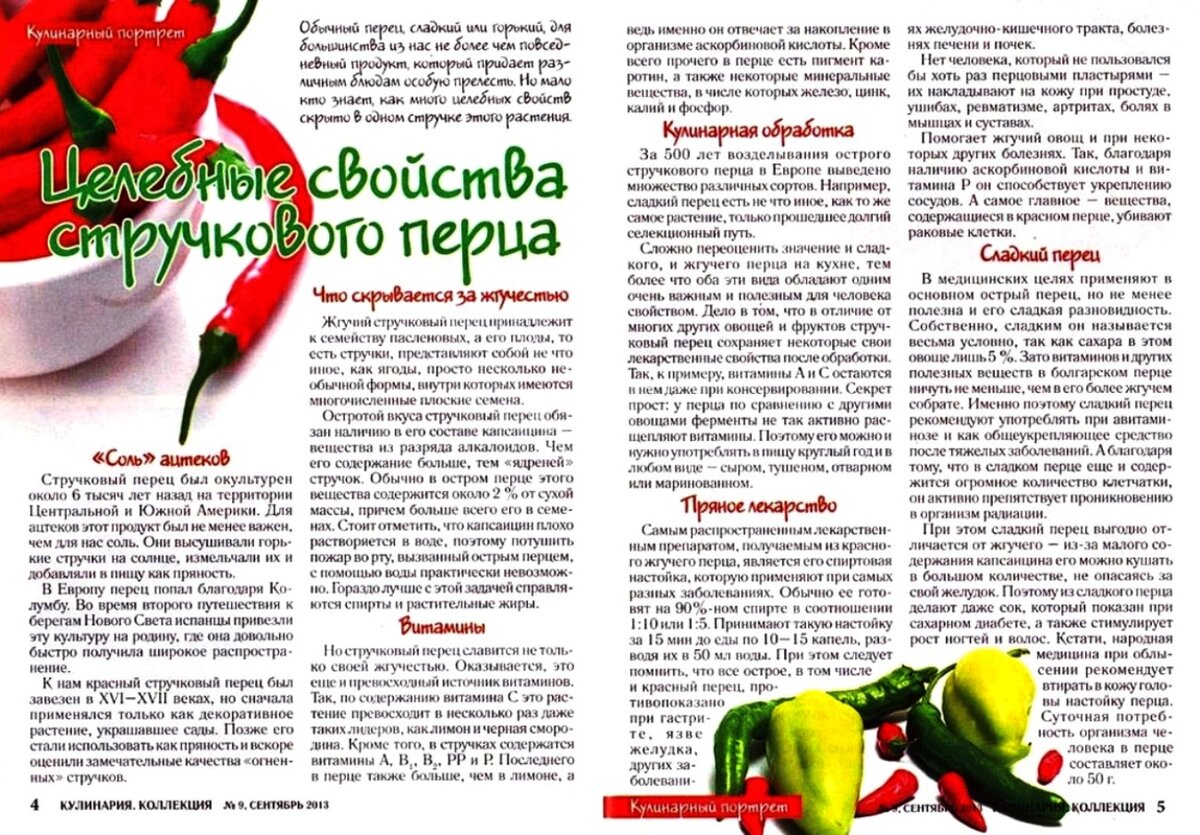 Как сохранить свежий болгарский перец на зиму в холодильнике и погребе?