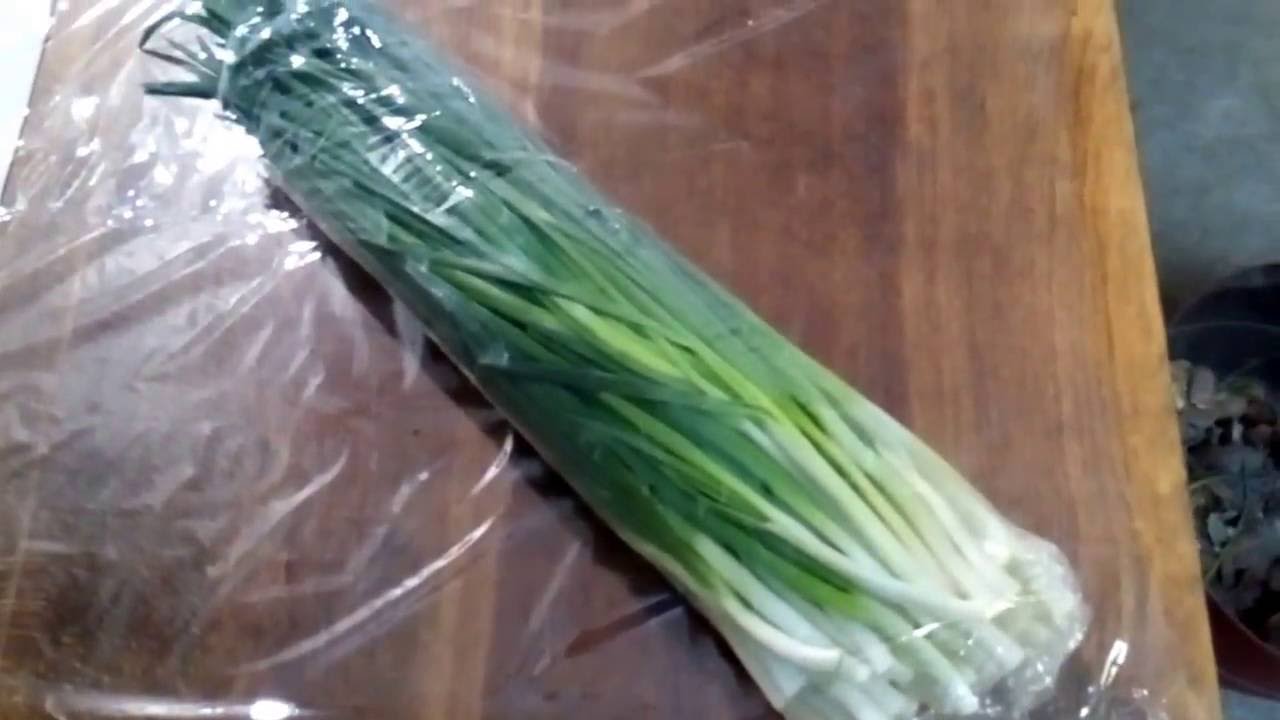 Как сохранить зеленый лук на зиму в домашних условиях — 5 простых заготовок