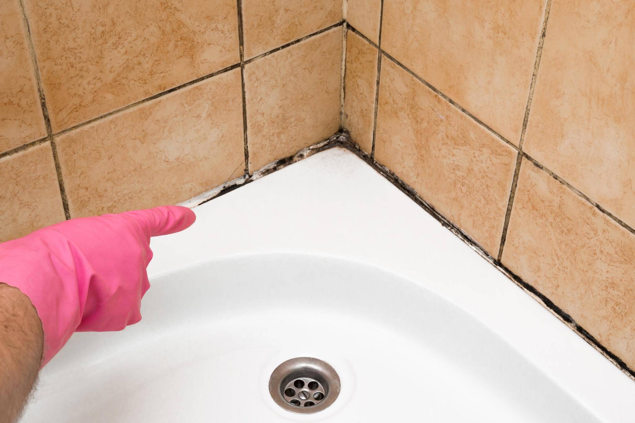 Как и чем очистить швы между плиткой в ванной от грязи и плесени – видео инструкция