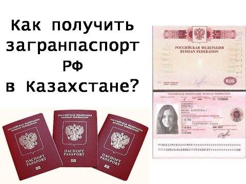 Оформить заграничный паспорт нового образца на 10 лет для взрослого через мфц в краснодаре: список документов и размер госпошлины
