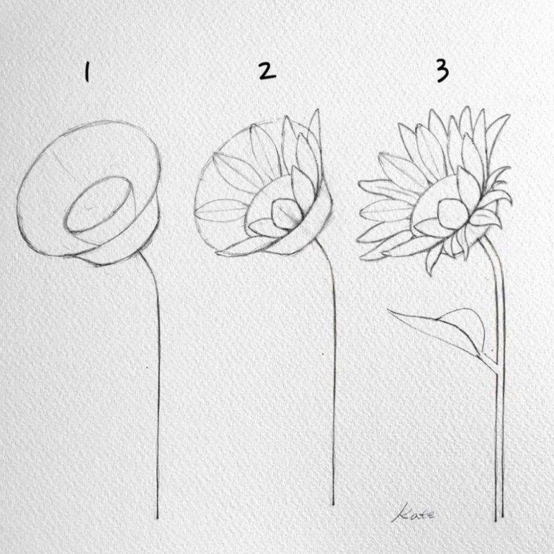 Как нарисовать цветок — пошаговые схемы, советы, уроки, оригинальные идеи рисования цветка для начинающих