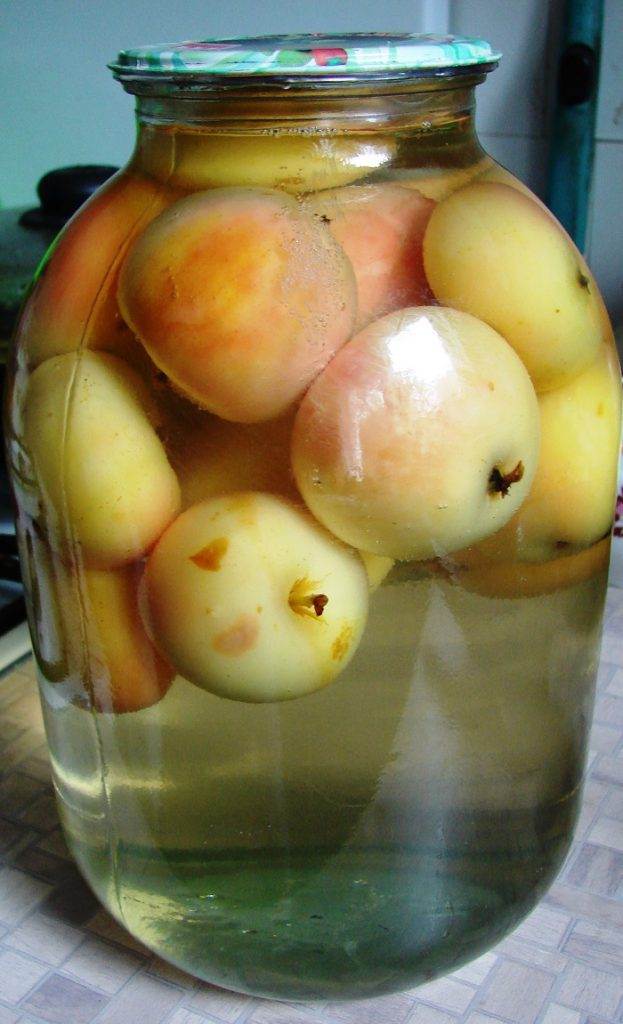 Как варить компот из свежих яблок на зиму в кастрюле: пошаговые рецепты