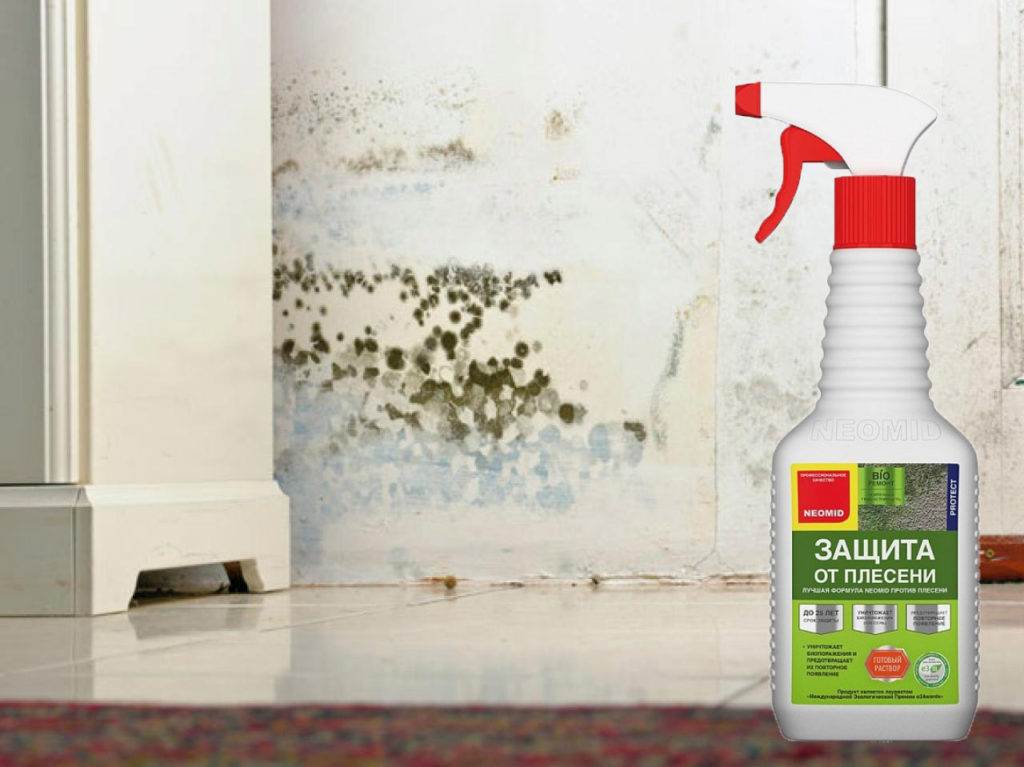 Эффективные способы и методики, как без особых усилий убрать плесень со стен в вашей квартире