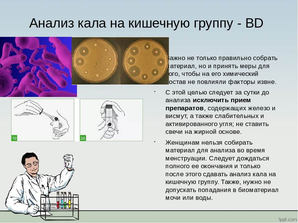 Сколько кала нужно на анализ фото