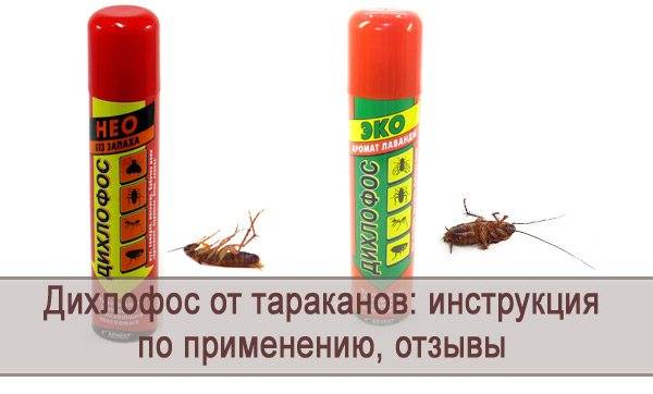 Дихлофос в квартире: виды и порядок применения против насекомых