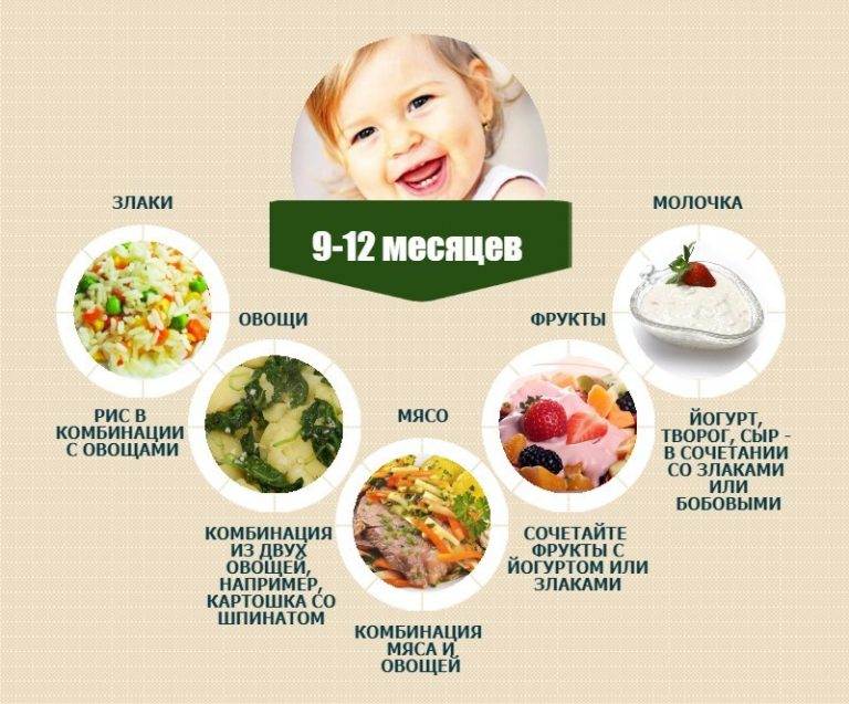 Прикорм для грудного ребенка: какие продукты можно, особенности прикорма
