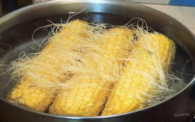 Удачные рецепты: как достаточно быстро сварить кукурузу?
