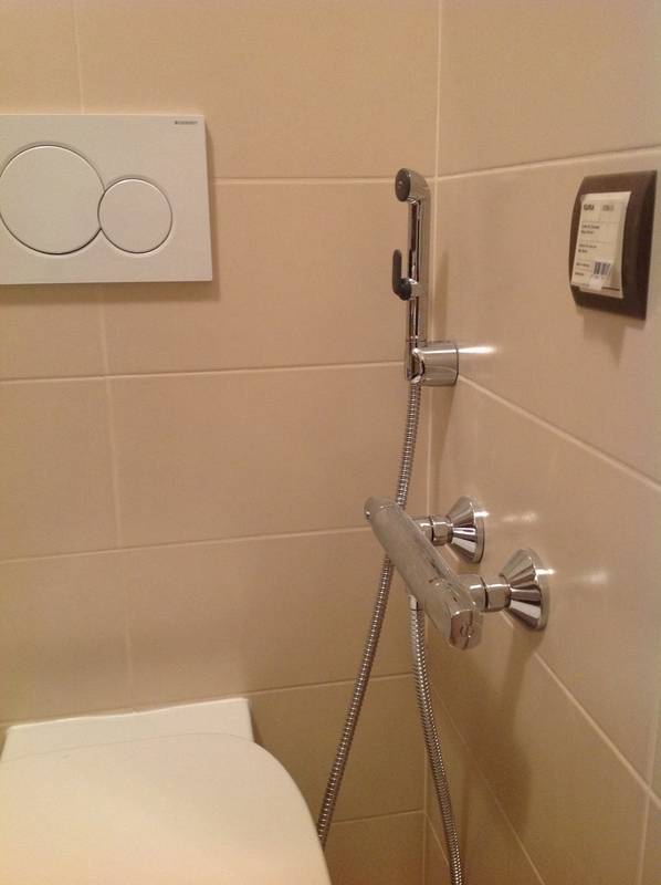 Как выбрать комфортный и качественный гигиенический душ для унитаза