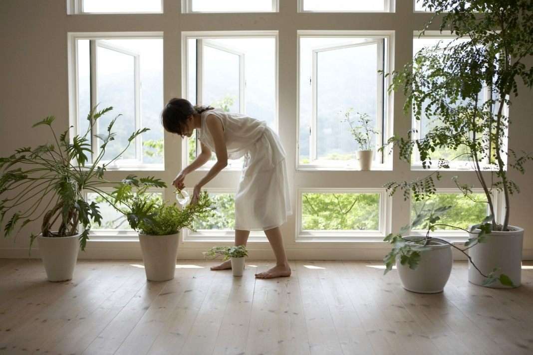 Как освежить воздух в квартире простыми способами
