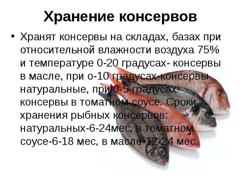 Как хранить соленую красную рыбу в домашних условиях. сколько хранится продукт в холодильнике или морозилке - onwomen.ru