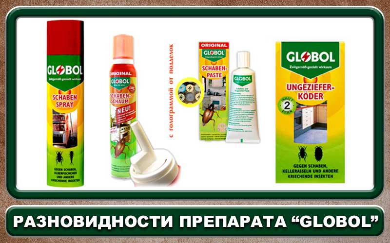 Средство globol от тараканов и еxil shaben pаste: описание немецкой пасты глобал, отзывы