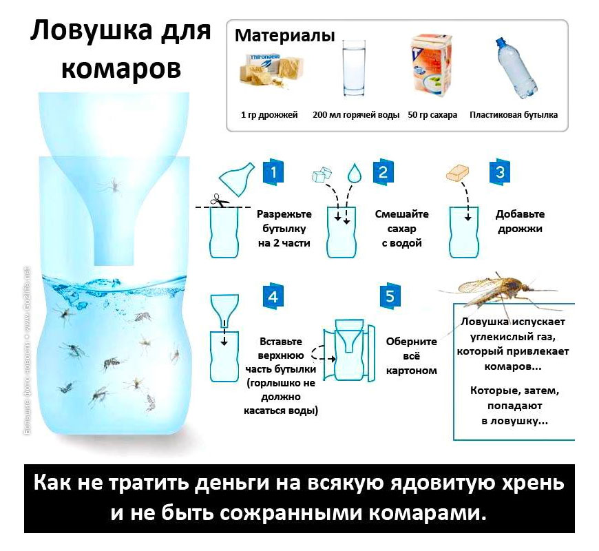 Как избавиться от комаров в доме: 9 домашних средств