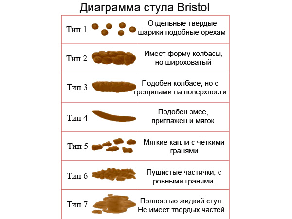 Презентация про какашки