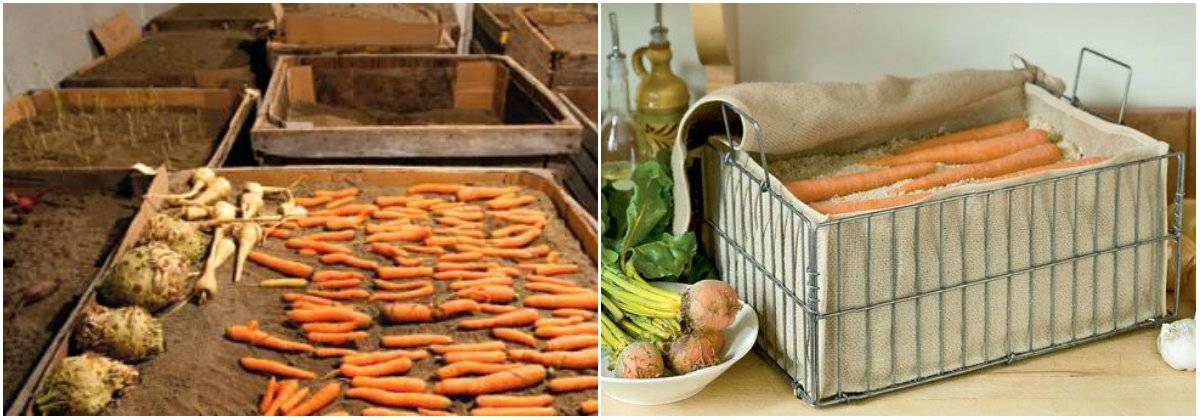 Можно ли мыть картофель перед хранением на зиму: нужно ли так делать перед закладкой в погреб, а также инструкция как осуществить процедуру