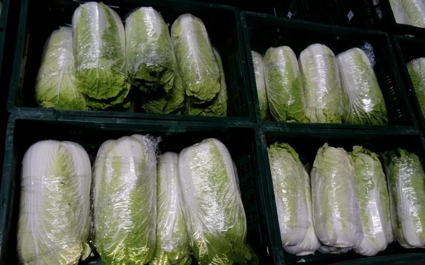 Как правильно хранить капусту в холодильнике — нужен ли пакет?