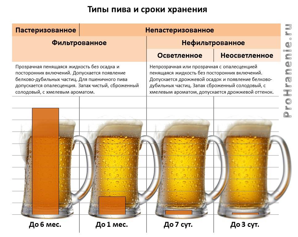 Сколько хранятся разные сорта пива