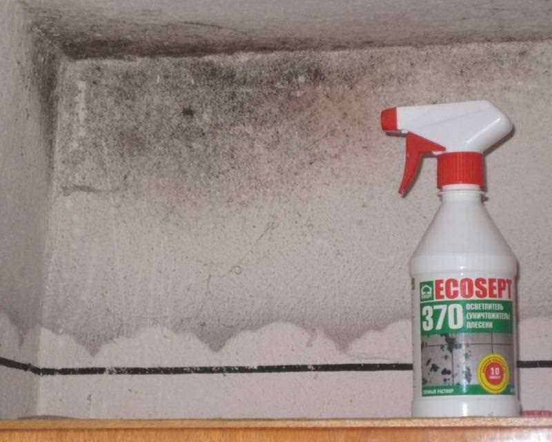 Плесень на потолке: как избавиться от грибка на потолке в ванной комнате, обработка, как убрать, удалить грибок и плесень в квартире, как вывести, чем обработать