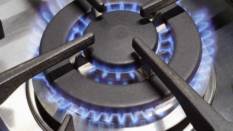 Лучшие плиты с газ-контролем конфорок и духовки - рейтинг 2022