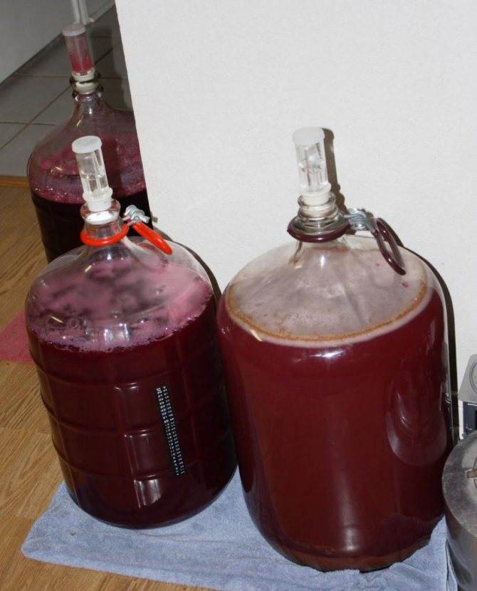 Как сделать домашнее вино из винограда в домашних условиях - простой рецепт вина из винограда изобелла и других сортов